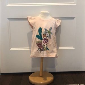 Sugar glider graphic Tee